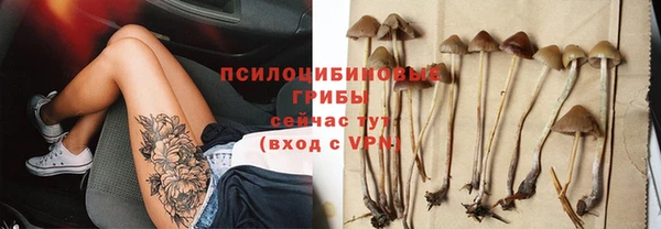 сатива Балахна