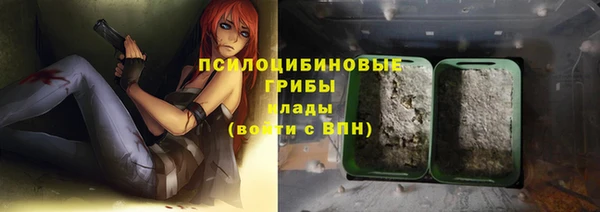 сатива Балахна