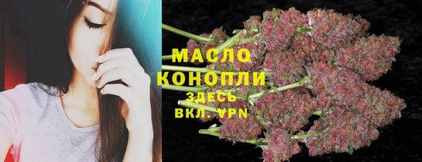 сатива Балахна