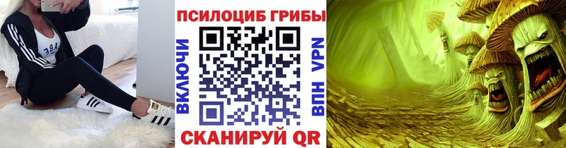 Псилоцибиновые грибы Psilocybe  Козловка 
